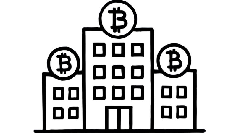 Public Companies Increasing Bitcoin Holdings Face Risks If Crypto Prices Drop