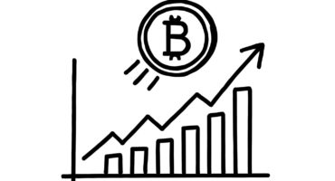 XRP Could Surge Over 2,200% Following the 2028 Bitcoin Halving