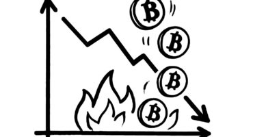 SHIB Price Faces Downtrend Amid 63% Drop in Daily Burn Rate